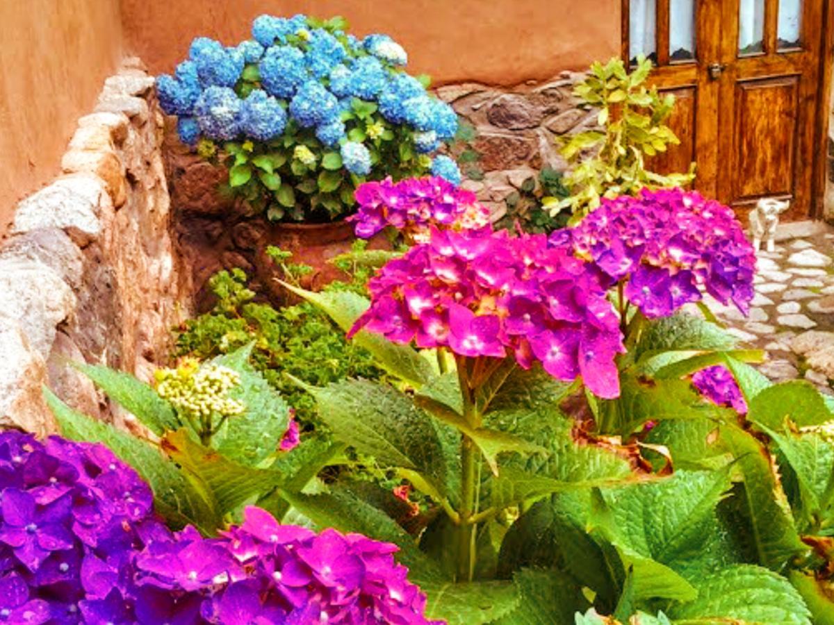 Lizzy Wasi Urubamba Hotel Buitenkant foto